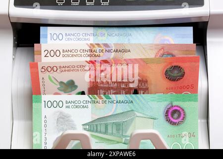 Nicaraguanisches Geld - cordoba in der Zählmaschine Stockfoto