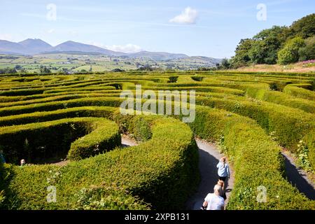 Peace Labyrinth Castlewellan County im Norden irlands großbritannien Stockfoto