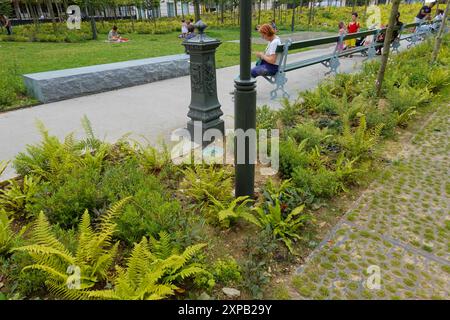 Paris, Place de Catalogne, Mikrowald, Stadtwald // Paris, Place de Catalogne, Winziger Wald Stockfoto