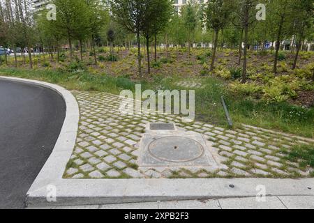 Paris, Place de Catalogne, Mikrowald, Stadtwald // Paris, Place de Catalogne, Winziger Wald Stockfoto