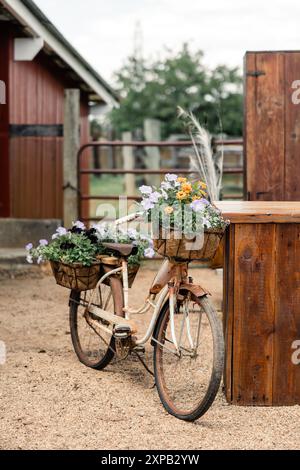 Altes Fahrrad mit Blumenkörben in einer rustikalen Outdoor-Umgebung Stockfoto