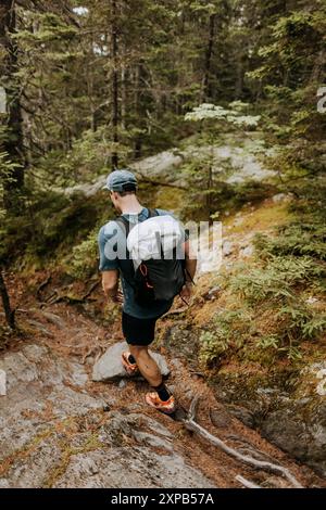 Wanderungen mit Männern entlang der Felsen und Wurzeln des Appalachian Trail in Maine Stockfoto