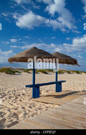 Am leeren Strand auf der Insel Tavira, Algarve. Portugal Stockfoto