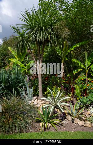 Exotische Pflanzen neben den Pavilions in Sheffield Botanical Gardens, South Yorkshire, England. Stockfoto
