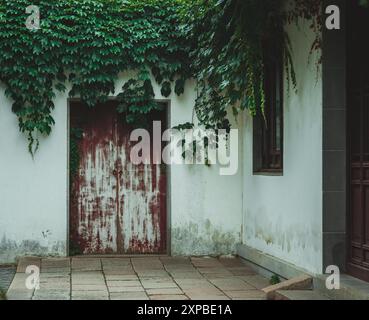 Eine verwitterte, rote Holztür mit abblätternder Farbe befindet sich in einer weißen Wand, die mit Weinstöcken bewachsen ist. Die Tür führt in einen traditionellen chinesischen Garten. Stockfoto