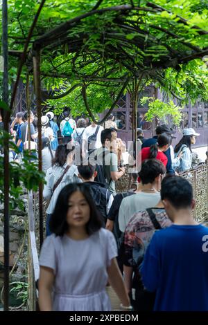 Suzhou, China - 11. Juni 2024 : Eine Gruppe von Menschen spaziert durch einen grünen, mit Spalieren bedeckten Gang in einem chinesischen Garten. Stockfoto