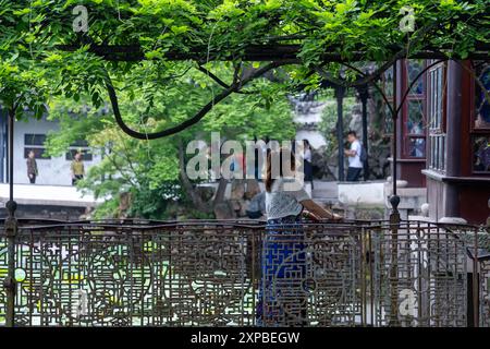 Suzhou, China - 11. Juni 2024 : Eine Frau steht an einem kunstvollen Geländer in einem Suzhou-Garten. Reben und Laub bilden ein Überdachungsdach. Stockfoto