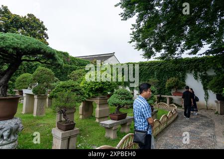 Suzhou, China - 11. Juni 2024 : Ein traditioneller chinesischer Garten in Suzhou, China, mit sorgfältig gepflegten Bonsaibäumen auf Steinsockeln. Stockfoto