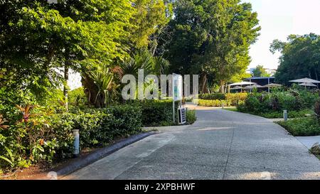 Cancun, Mexiko; 26. Juni 2024: Begeben Sie sich auf ein unvergessliches Abenteuer durch das Herz des Maya-Dschungels in Cancun. Tauchen Sie ein in das pulsierende. Stockfoto