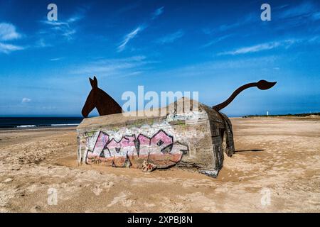 Maultiere Pferde Bunker am Strand Blaavand im westlichsten Teil Dänemarks Stockfoto