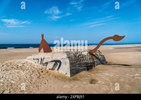 Maultiere Pferde Bunker am Strand Blaavand im westlichsten Teil Dänemarks Stockfoto