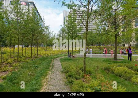 Paris, Place de Catalogne, Mikrowald, Stadtwald // Paris, Place de Catalogne, Tiny Forest *** Paris, Place de Catalogne, Mikrowald, Stadtwald Pa Stockfoto