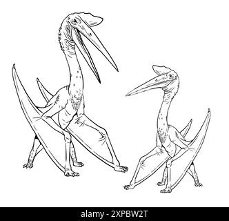 Familie der Pterosaurier - Quetzalcoatlus. Dinosaurier-Illustration zum Ausmalen. Stockfoto