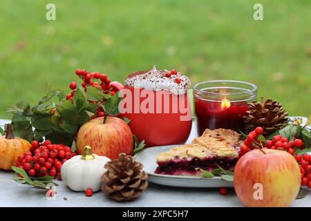 Hausgemachte Torte mit Beeren und Äpfeln auf einem Hintergrund aus grünem Gras. Thanksgiving Dessert Rezept. Herbstpicknick in einem Garten. Stockfoto
