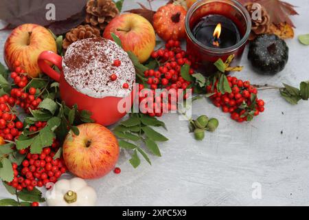Äpfel, Kürbisse, Kegel, Blätter, vogelbeeren auf einem Tisch. Foto von oben mit Herbstkomposition. Erntesaison Konzept. Stockfoto