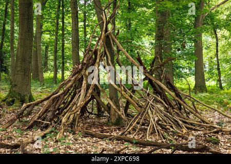 Zweighütte im Wald im Ardey-Gebirge in der Nähe der Stadt Wetter, Nordrhein-Westfalen, Deutschland. Asthuette im Wald im Ardeygebirge bei Wetter A Stockfoto