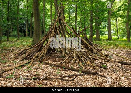 Zweighütte im Wald im Ardey-Gebirge in der Nähe der Stadt Wetter, Nordrhein-Westfalen, Deutschland. Asthuette im Wald im Ardeygebirge bei Wetter A Stockfoto