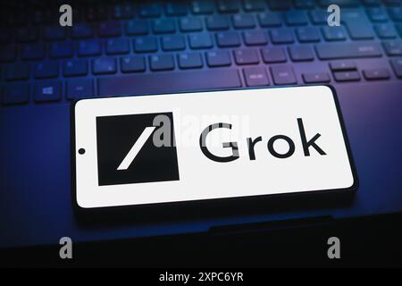 In dieser Abbildung wird das Grok-Logo auf einem Smartphone-Bildschirm angezeigt. Stockfoto