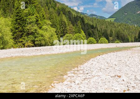 Ein ruhiger slowenischer Fluss schlängelt sich durch ein steiniges Ufer, umgeben von dichten grünen Wäldern unter einem klaren blauen Himmel. Stockfoto