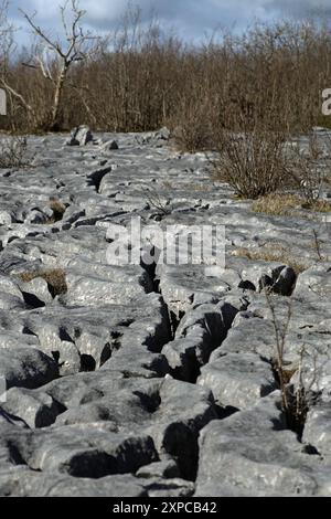 Kalksteinpflaster auf dem Gipfelplateau Hutton Roof Crags bei Burton in Kendal Westmorland und Furness England Stockfoto