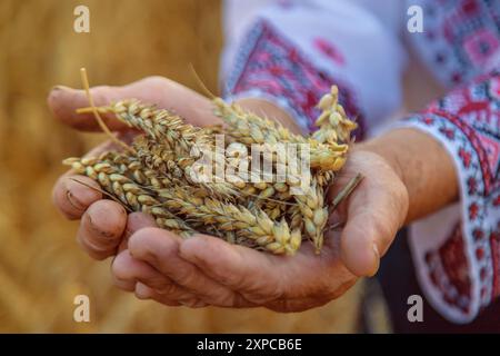 Frau auf einem Weizenfeld mit einem gestickten Hemd. Selektiver Fokus. Natur. Stockfoto