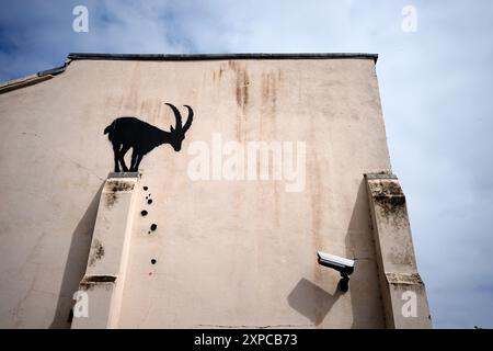 Banksy hat ein neues Kunstwerk in der Nähe der Kew Bridge im Westen Londons enthüllt, mit einer Ziege an einer Wand. Bilddatum: Montag, 5. August 2024. Stockfoto