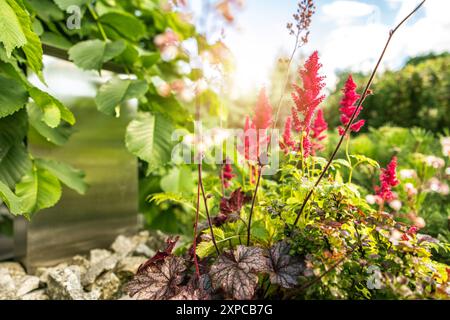 Farbenfrohe Blumen blühen in einem üppigen Garten, ergänzt durch eine Kulisse aus Grün und Sonnenlicht. Stockfoto