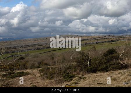 Farleton fiel von den Hängen des Hutton Roof Crag bei Burton in Kendal Westmorland und Furness oder Cumbria England Stockfoto