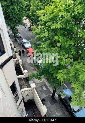 Straßenbäume im Sommer in Hove. Stockfoto