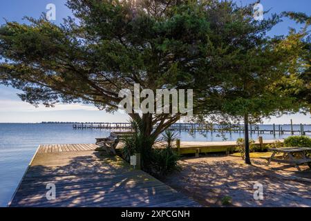 Ein schöner, schattiger Ort entlang der Promenade, um den Blick auf den Hafen von Manteo auf Roanoke Island in Outer Banks, North Carolina, USA, zu genießen Stockfoto