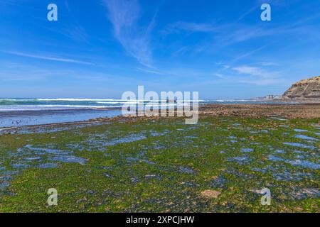 Praia do sul Beach, Ericeira, Sintra, Lissabon Küste, Portugal Stockfoto