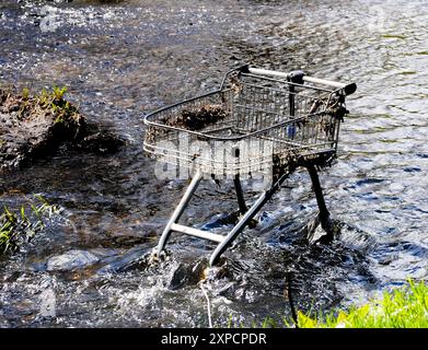 Fly kippt im Fluss Stockfoto