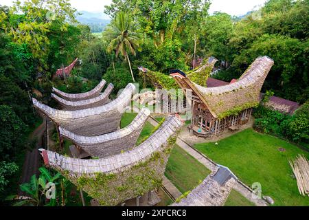 Buntu Pune, ein traditionelles Torajan-Dorf mit Tongkonan-Häusern und Reisscheunen mit begrünten Dächern, Rantepao, Sulawesi, Indonesien Stockfoto