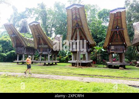 Touristen erkunden Buntu Pune, traditionelles Torajan Dorf mit Tongkonan Häuser und Reisscheunen mit Dächern mit Vegetation, Rantepao, Sulawesi Stockfoto