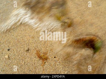 Das Meer ​​wave überschwemmt Algen auf Sand und Ostseestoff Stockfoto