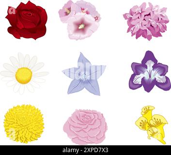 SET AUS VERSCHIEDENEN BLUMEN, ISOLIERT IN VERSCHIEDENEN FARBEN Stock Vektor