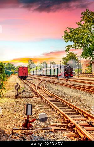 Loessnitzgrundbahn, Radebeul, Deutschland Stockfoto