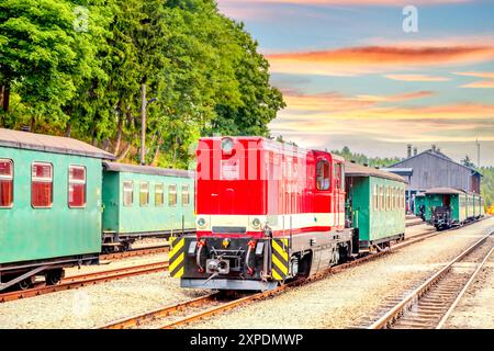 Loessnitzgrundbahn, Radebeul, Deutschland Stockfoto