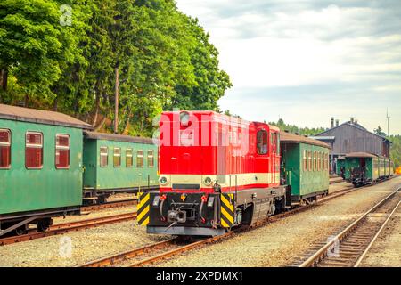 Loessnitzgrundbahn, Radebeul, Deutschland Stockfoto