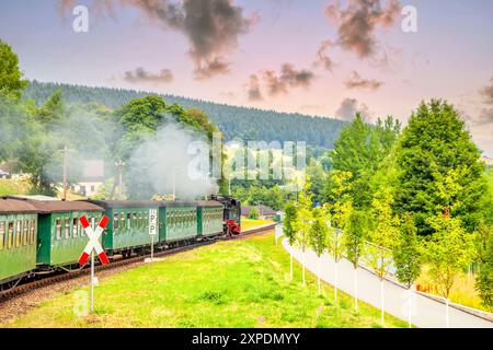 Loessnitzgrundbahn, Radebeul, Deutschland Stockfoto