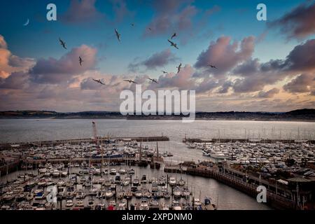 GB - DEVON: Abend über dem Hafen von Torquay entlang der englischen Riviera © Edmund Nagele FRPS Stockfoto