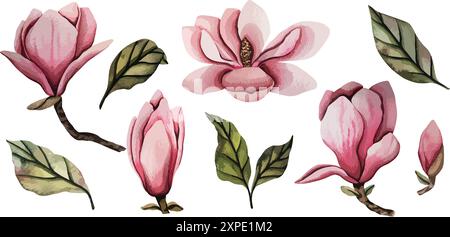 Hand gezeichnete Magnolienblume, Satz von Vektor-Aquarellillustration. blumenelement. Rosafarbene Magnolienblüten verschiedener Formen. Abbildung für Stock Vektor