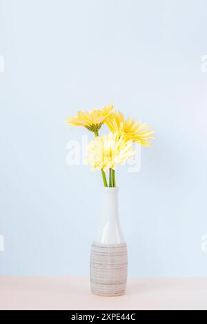 Gelbe Gerbera Gänseblümchen in Vase gegen weiße Wand. Stockfoto