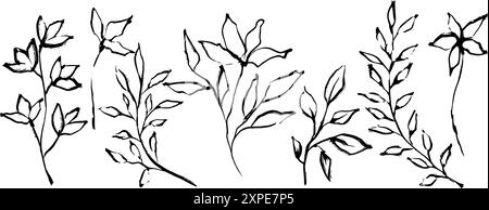Vektorblumen und Zweige mit Blättern im chinesischen Tintenkalligraphie-Stil. Vektorkontur Satz von Illustrationen. Botanische Elemente für Verpackungen Stock Vektor