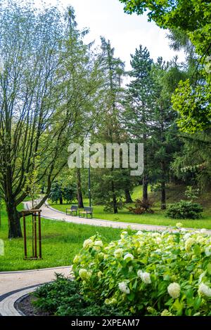 Serene Park Pathway, umgeben von üppigem Grün und lebhaften Blumen an einem sonnigen Nachmittag Stockfoto