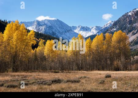 Der 13.521 Foot Star Mountain ist Teil der Elk Mountain Range bei Aspen, Colorado. Die hochalpinen Gipfel haben frischen Herbstschnee mit farbenfroher Front. Stockfoto