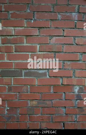 Ziegelmauer Stockfoto