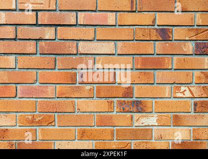 Moderne Ziegelwand mit Zementfugen rot/orange Hintergrund. Stockfoto