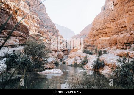 Wadi Shab, Canyon, Tal, Oase mit blauem Wasser zum Schwimmen in der Nähe von Maskat Oman Stockfoto