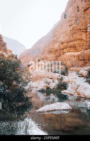 Wadi Shab, Canyon, Tal, Oase mit blauem Wasser zum Schwimmen in der Nähe von Maskat Oman Stockfoto